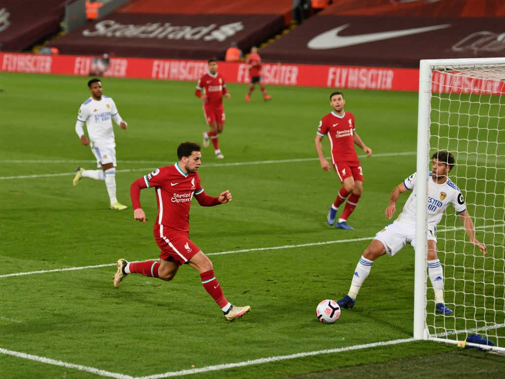 为中国篮球 为中国篮球