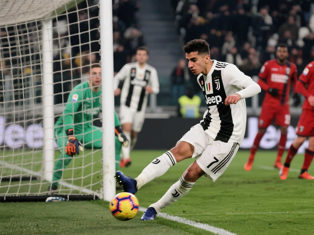 中采用了灵 中采用了灵